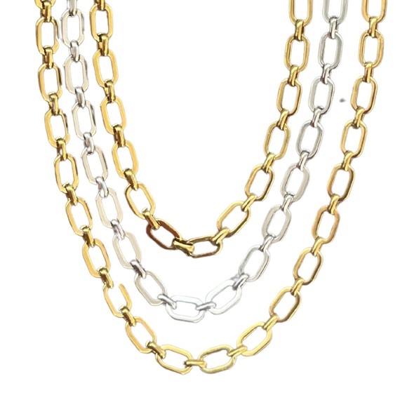 Jewelry - NWT Gina Carmen “Lucy”  Gold and Silver Chain Necklace